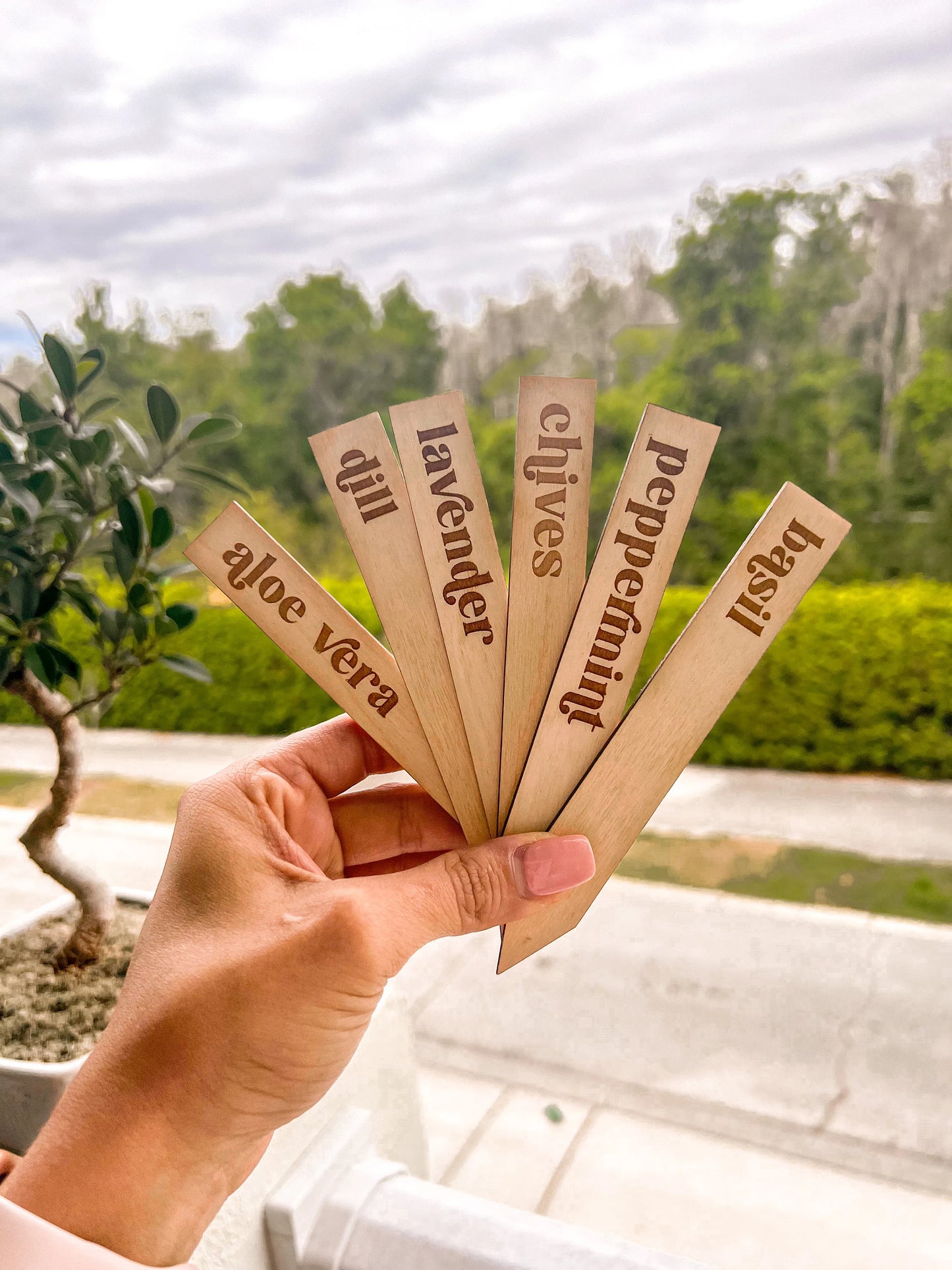 Garden Herb Markers Stakes